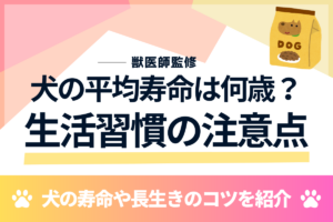 犬の平均寿命は何歳？犬種別の寿命や長生きするコツを紹介